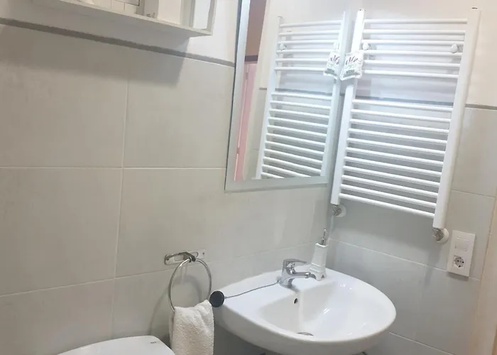 Rey Mundo Munébrega